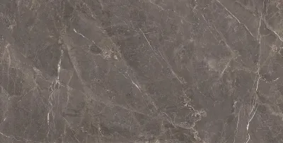 Плитка Kutahya Seramik Alvarado Mocha Polished RT 60x120, Фото