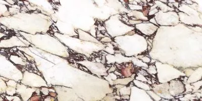 Плитка CALACATTA VIOLA NATURAL 120x120, Фото
