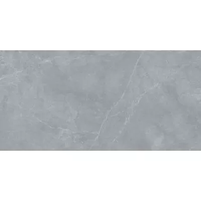 Плитка MEGAGRES CK126-9MY035PA BLUE OCEAN GREY 60x120, Фото