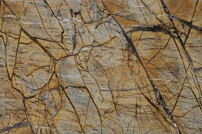 Плитка Gani Marble D697762BH Rainforest Brown, Фото