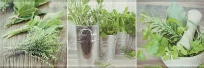 Декор Ceramika Konskie Salerno glass kitchen 1 inserto 20x60, Фото