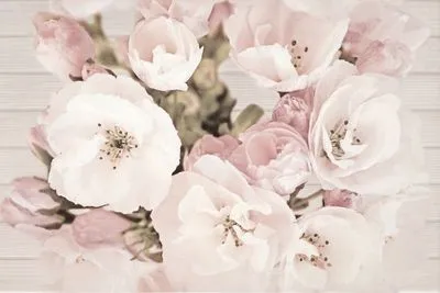 Декор Cersanit SAKURA INSERTO FLOWER 30X45, Фото