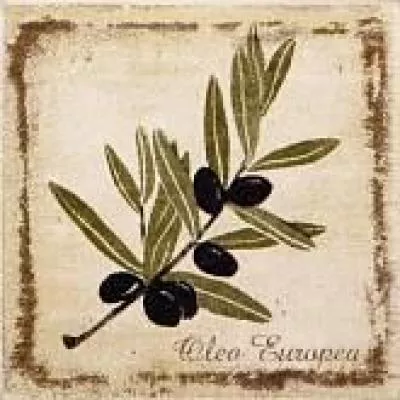 Декор Kerama Marazzi Прованс A1912\1221H, Фото