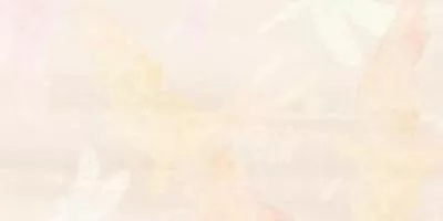 Декор RAKO POEM light beige WADV4577 30x60, Фото