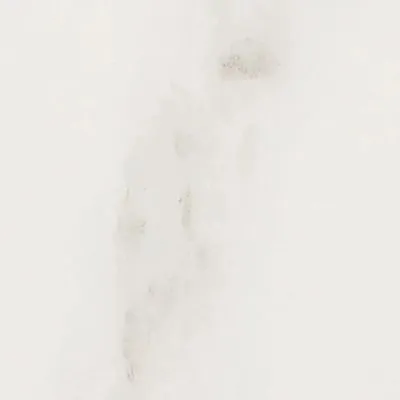 Декор Zeus Ceramica AESTETICA I CLASSICI CALACATTA 07XMC1DB, Фото