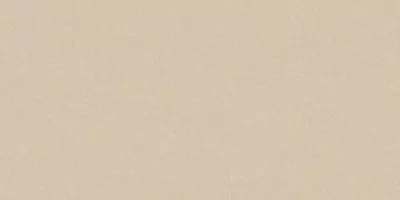Плитка Cerrad GRES MONOLIGHT EXTERIOR BEIGE MX03 R10 RECT 1197x597x8, Фото