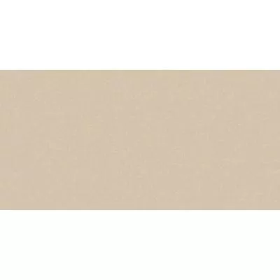 Плитка Cerrad GRES MONOLIGHT EXTERIOR BEIGE MX#03 R10 RECT 60x120, Фото