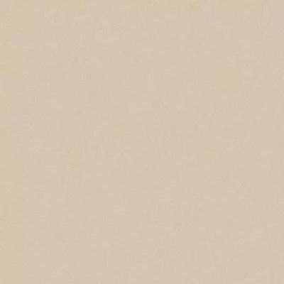 Плитка Cerrad GRES MONOLIGHT EXTERIOR BEIGE MX03 R10 RECT 60x60, Фото