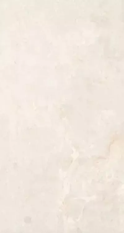 Плитка IRONFORGE IVORY STONELO+CARVING 60 x120, Фото