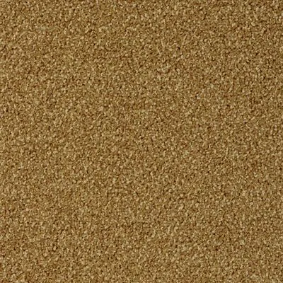 Килимова плитка Desso Torso 5421, Фото