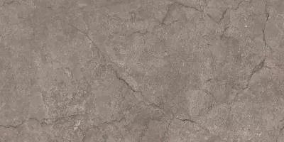 Плитка KRONOS DARK NATURAL 120x280, Фото
