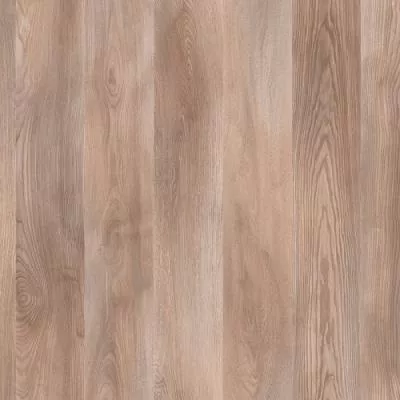 Ламінат AGT Marco Polo Premium Лабрадор PRK922, Фото