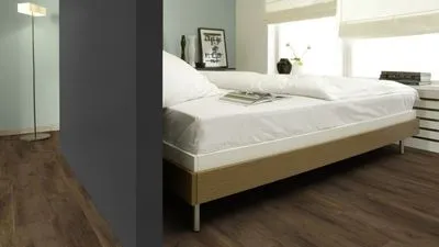 Ламинат Kaindl Classic Touch 8 mm Standard Plank Дуб NORDIC SHORE, Фото