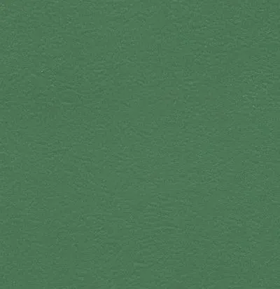 Лінолеум Grabo Graboflex Start 4000-660-3 Зелений, Фото