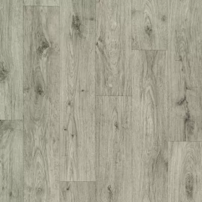 Лінолеум Lentex Pioneer 591-10, Фото