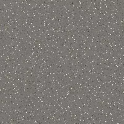 Лінолеум Lentex Pioneer 602-12, Фото