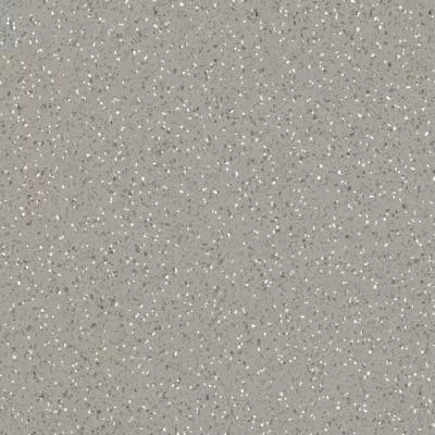 Лінолеум Lentex Pioneer 602-13, Фото