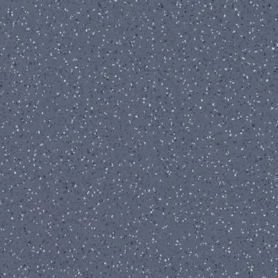 Линолеум Lentex Pioneer 602-14, Фото