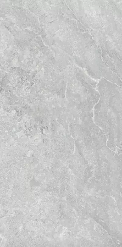 Плитка MAGNAVENA GREY SILK PRO 60 x 120, Фото