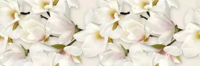 Декор Cersanit NAOMI INSERTO FLOWER 20X60, Фото