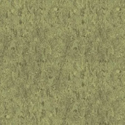 Натуральный линолеум Tarkett Veneto XF 672, Фото