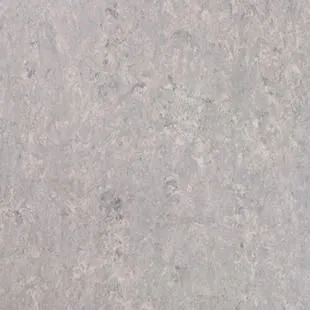 Натуральный линолеум Tarkett Veneto XF 702, Фото