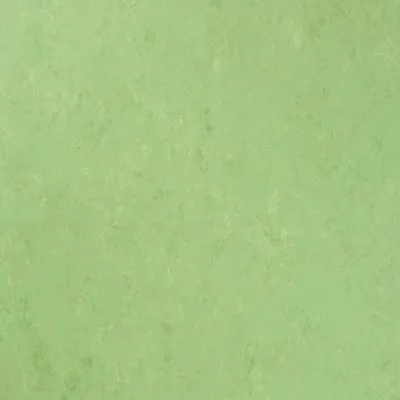 Натуральный линолеум Tarkett Veneto XF 754, Фото