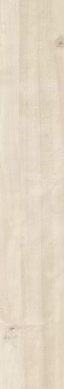 Плитка Paradyz NORDLAND NATURALE GRES 15x90, Фото