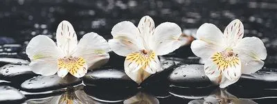 Декор Intercerama Pergamo 6 (Д123082-1), Фото