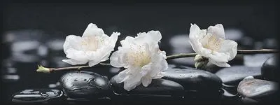 Декор Intercerama Pergamo 6 (Д123082), Фото