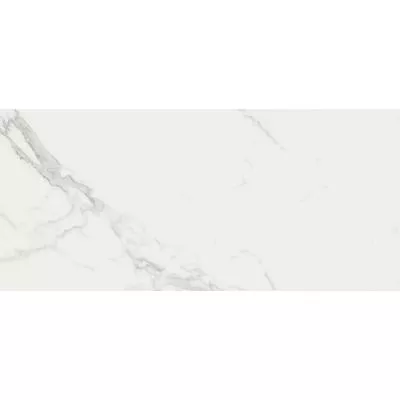 Плитка Atlas Concorde Ceramica Marvel Calacatta Extra 50x110, Фото