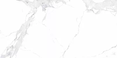 Плитка Allore Group AVENZO SILVER FL 60x120, Фото