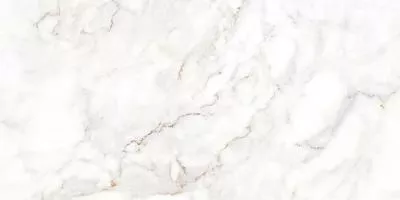 Плитка Allore Group Palazzo White Satin 120x60, Фото