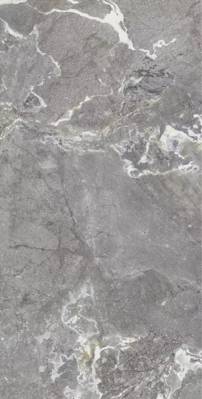 Плитка Allore Group Snake stone Grey 120x60 Mat, Фото