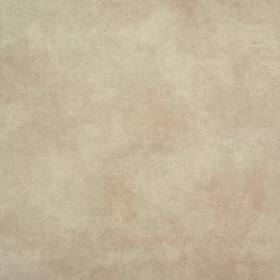 Плитка ALMERA CERAMICA Spain G. DARLENE BROWN MT 450x450, Фото