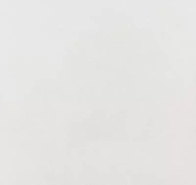 Плитка Argenta Ceramica HARDY WHITE RC 60x60, Фото