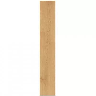 Плитка Atlas Concorde Exence Almond 20x120 matt, Фото