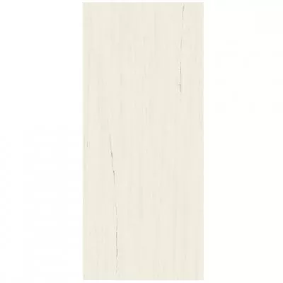 Плитка Atlas Concorde Marvel Stone Bianco Dolomite 45x90 Lappato, Фото