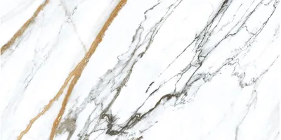 Плитка Geotiles Oikos Gold Pol 60x120, Фото