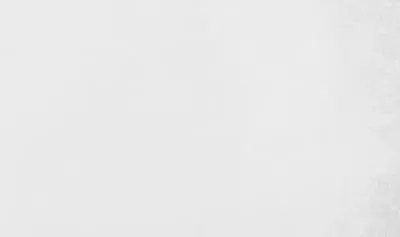 Плитка GEOTILES UT. ADINE BLANCO 33x55, Фото