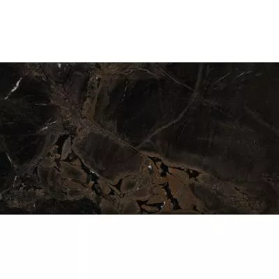 Плитка IMOLA The Room INF BR6 12 RM 120x60, Фото