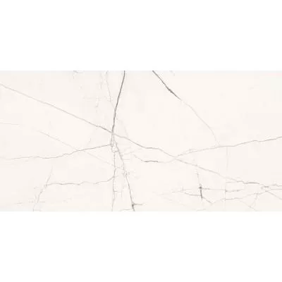 Плитка IMOLA The Room STA VP6 12 RM 120x60, Фото