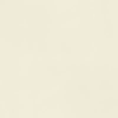 Плитка MEGAGRES WHITE POL BP6002 600x600, Фото