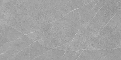 Плитка Pamesa Ceramica 30x60 Lavagna Pietra Di Argento, Фото