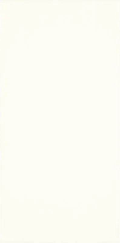 Плитка Paradyz Moonlight Bianco 29, 5x59, 5, Фото