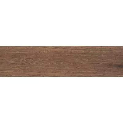 Плитка STN CERAMICA ARTICWOOD AMBER 23х120, Фото