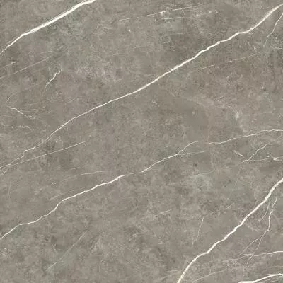 Плитка Tau Ceramica Elite Graphite Pul 90x90, Фото