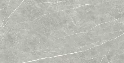 Плитка Tau Ceramica Elite Gray Matt 90x180, Фото