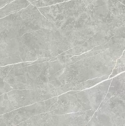 Плитка Tau Ceramica Elite Gray Pul 90x90, Фото