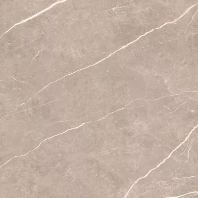 Плитка Tau Ceramica Elite Greige Pul 90x90, Фото